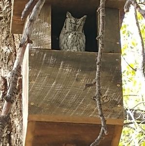 Meet your Posher, Kevin